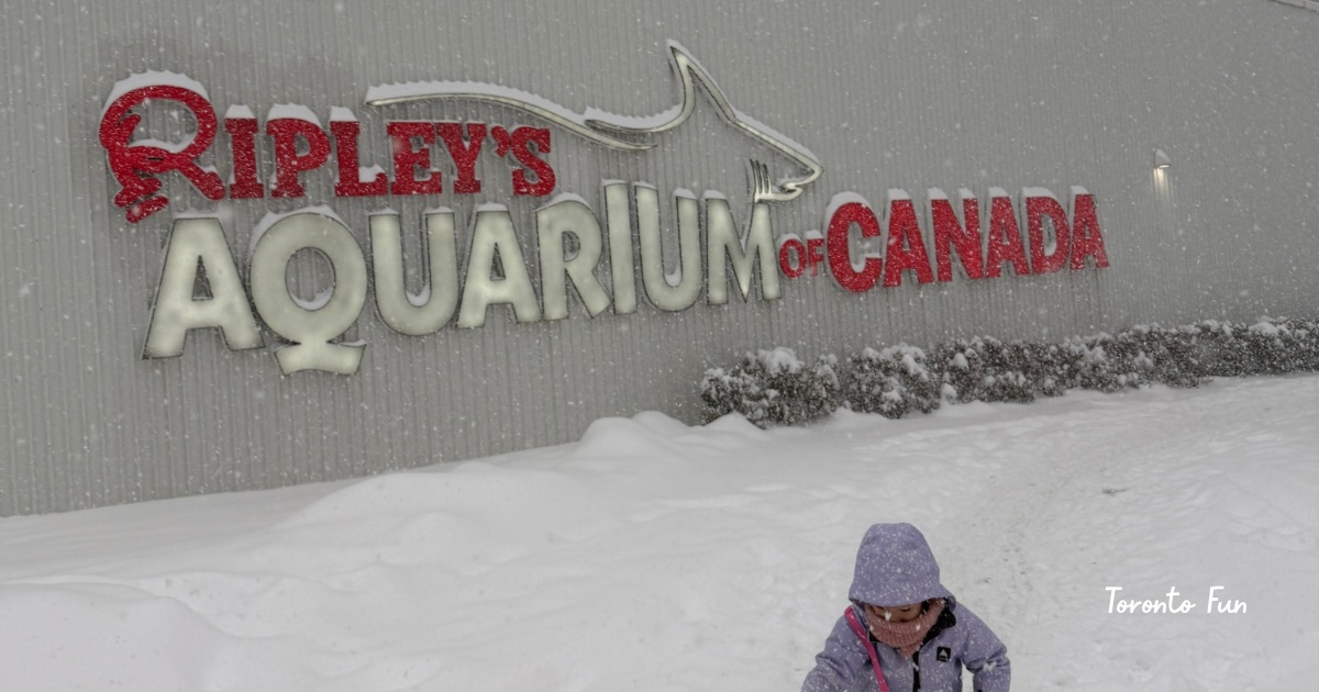 トロント　水族館