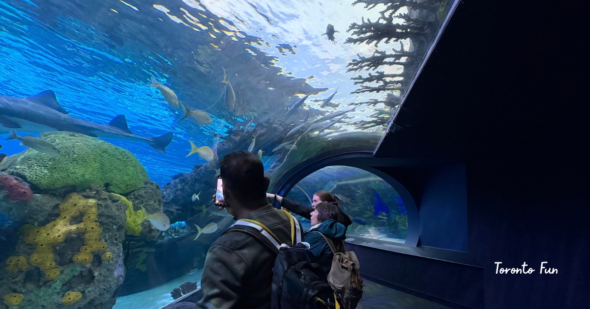 トロント　水族館