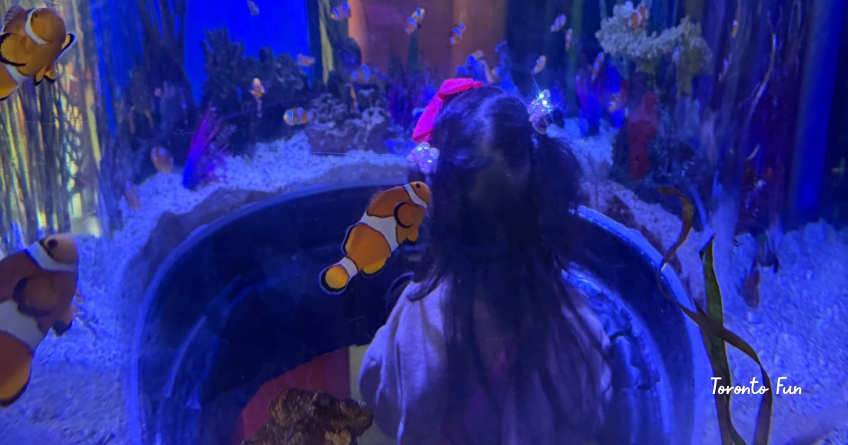 トロント　水族館