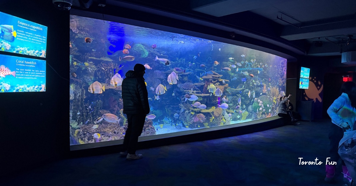 水族館　トロント